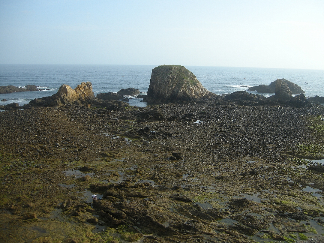 Navia_2022 069